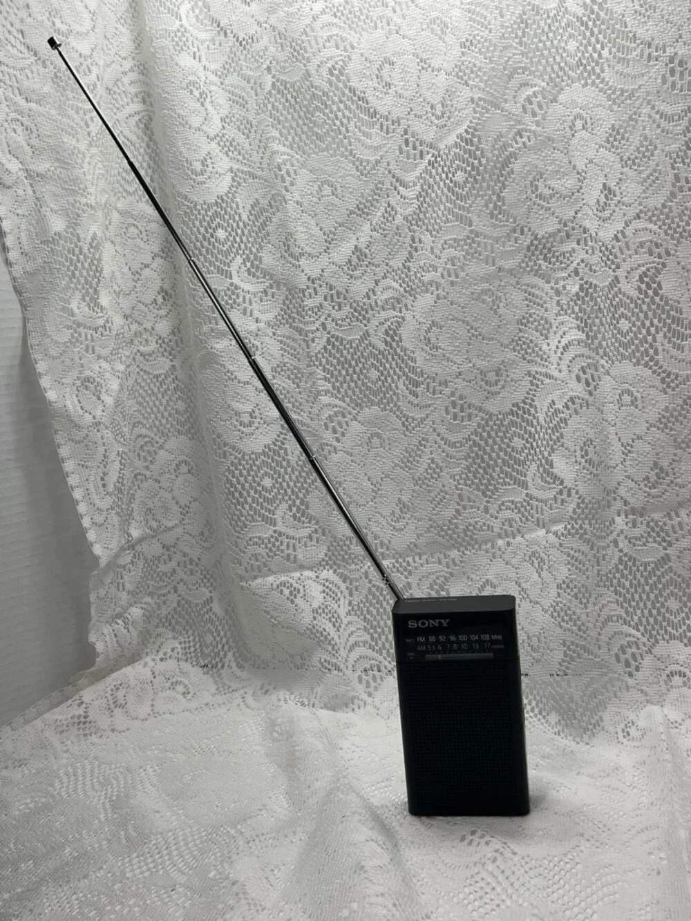 Sony handheld portable